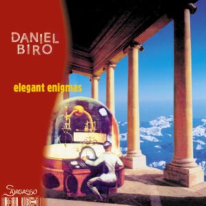Daniel Biro 'Elegant Enigmas'